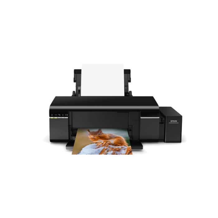 EcoTank L805 WiFi InkTank Photo Printer
